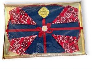 Vintage Golden Crown 8 Pc Place Mat & Napkin Set Blue Red Floral NOS